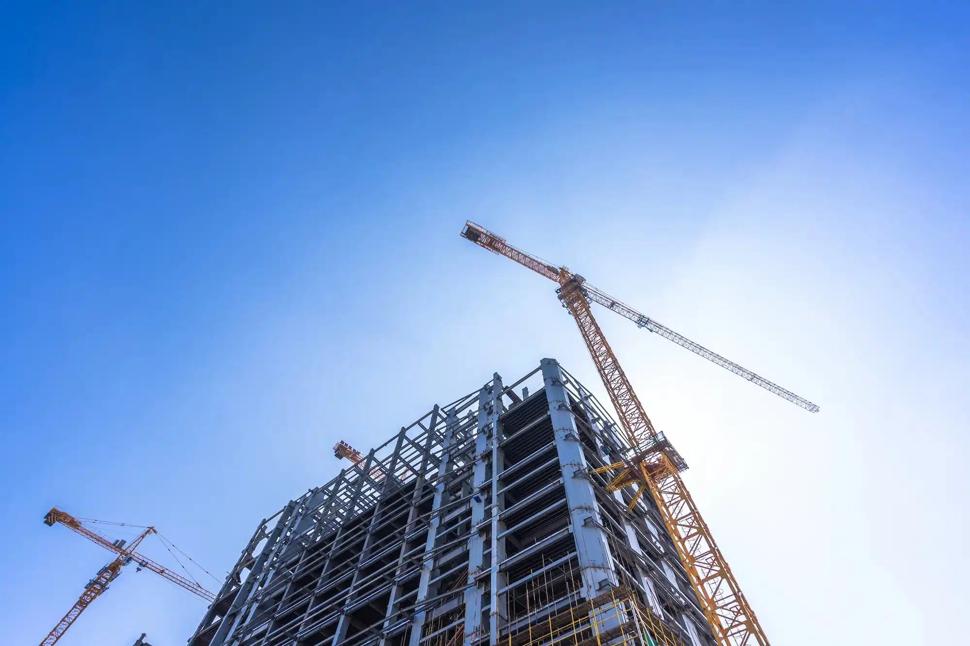 cranes over a construction site
