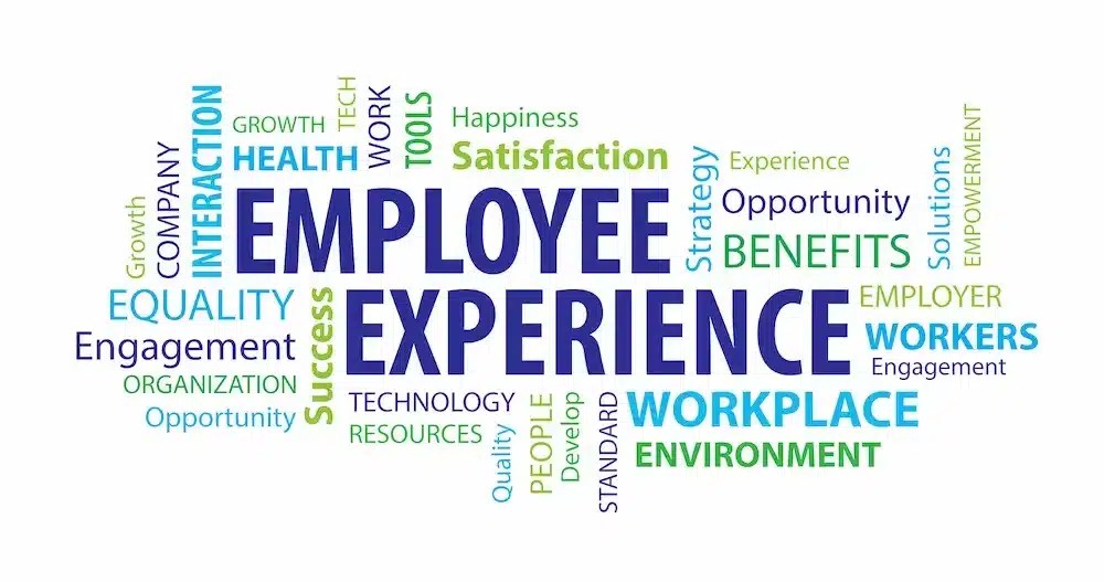 A word cloud in colors of green and blue of various components for the Employee Experience